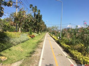 Walking In Chiang Mai